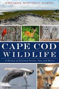 Cape Cod Wildlife A History of Untamed Forests Seas and Shores
